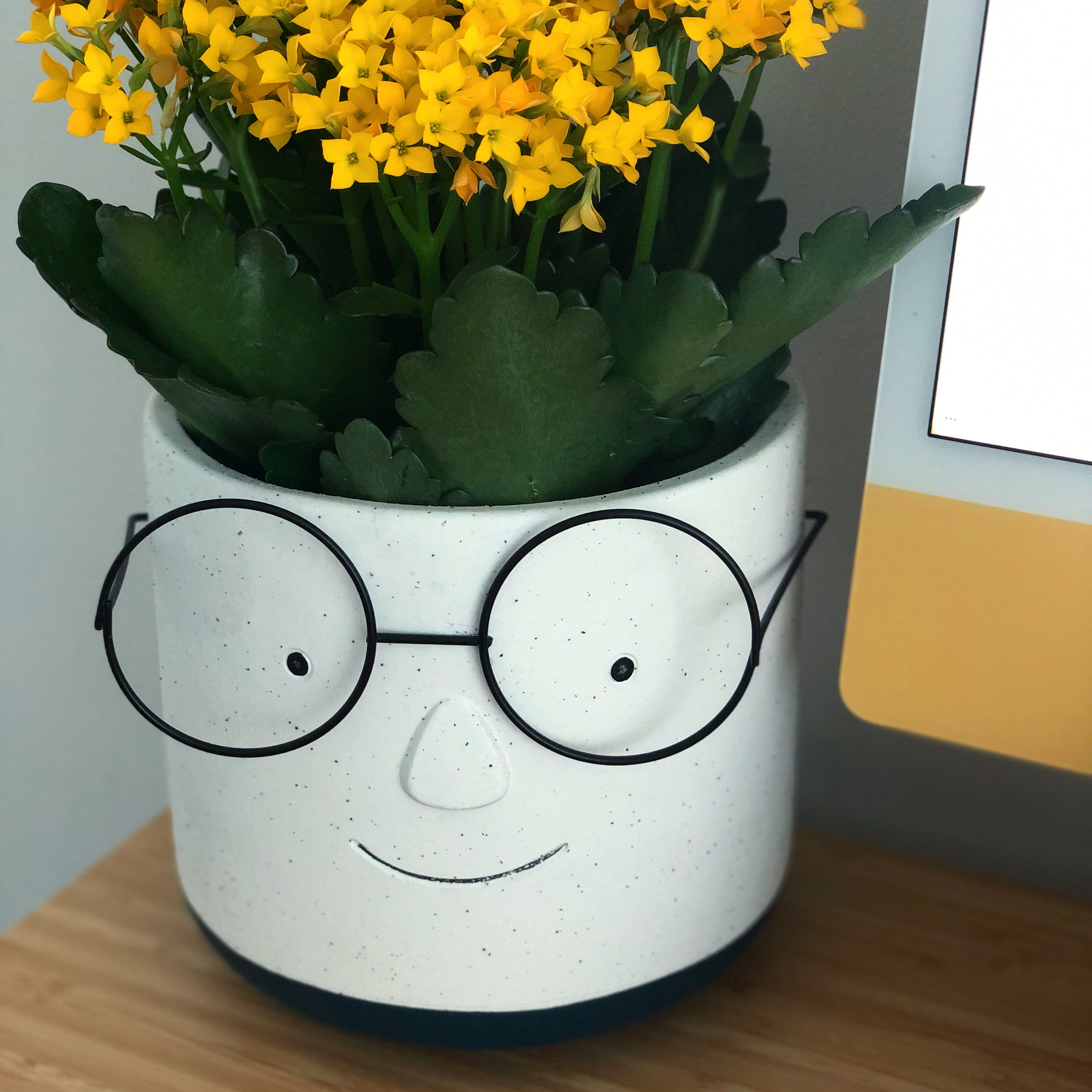 A plant with yellow flowers in a planter with a smiling face and glasses.